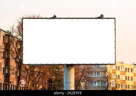 Grand panneau d'affichage vierge dans la ville pour la publicité Banque D'Images