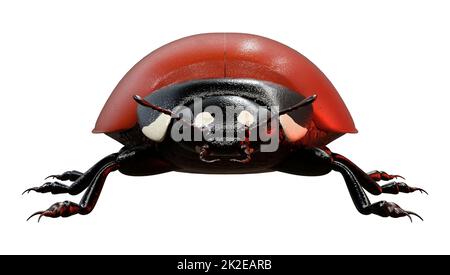 3D rendu Ladybug sur blanc Banque D'Images