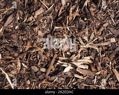 Toile de fond avec texture de paillis d'écorce Banque D'Images