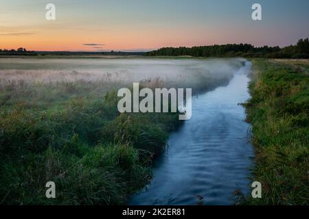 Brouillard sur la prairie par la rivière Uherka, Czulczyce, Pologne Banque D'Images