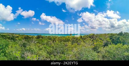 Vue panoramique sur le lagon de Muyil dans la jungle tropicale du Mexique. Banque D'Images