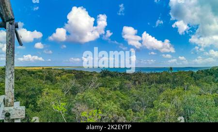 Vue panoramique sur le lagon de Muyil dans la jungle tropicale du Mexique. Banque D'Images