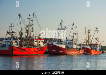 Bateaux de pêche amarrés à l'embarcadère du port de pêche de Buesum, Schleswig-Holstein, Allemagne Banque D'Images