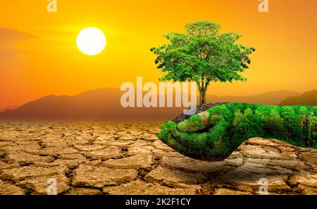 Arbre dans deux mains avec des environnements très différents jour de la Terre Ou Journée mondiale de l'environnement réchauffement et pollution de la planète Banque D'Images