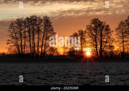 Lever de soleil sur un terrain en Bavière en hiver Banque D'Images