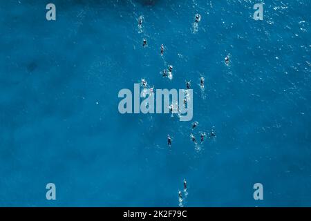 Vue de haut en bas des nageurs pendant la compétition en eau libre Banque D'Images