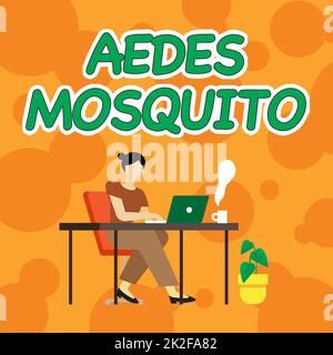 Écriture affichant le texte Aedes Mosquito. Idée d'affaires le moustique de la fièvre jaune qui peut propager la dengue femme assise avec ordinateur portable vue arrière accomplir activement le travail à partir de la maison Banque D'Images