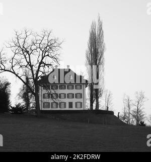 Musée Richard Wagner et arbres, Lucerne. Banque D'Images