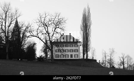 Musée Richard Wagner et arbres, Lucerne. Banque D'Images