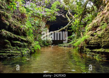 Intérieur de grotte de la forêt tropicale avec petite rivière et lac Banque D'Images
