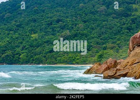 La rencontre entre la plage, la forêt tropicale préservée et la mer Banque D'Images