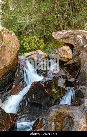 Petite crique avec des eaux claires qui traversent les rochers et la forêt Banque D'Images