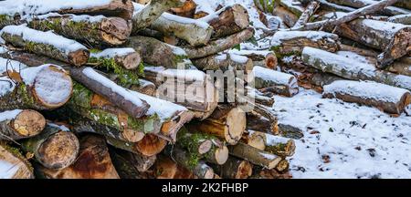 Bois de chauffage à Snowy Environment, Grèce Banque D'Images