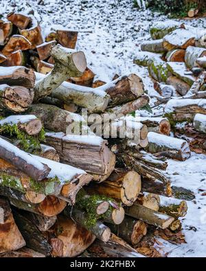 Bois de chauffage à Snowy Environment, Grèce Banque D'Images