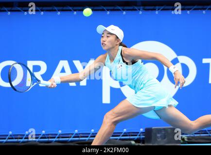Tokyo, Japan. 23rd Sep, 2022. Zhang Shuai of China returns the ball against Petra Martic of Croatia at the singles quarter final match at the Toray Pan Pacific Open tennis tournament at the Ariake Coliseum in Tokyo on Friday, September 23, 2022. Zhang defeated Martic 7-5, 6-2. Credit: Yoshio Tsunoda/AFLO/Alamy Live News Banque D'Images