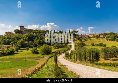 Paysage toscan typique près de Montepulciano et Monticchielo, Italie Banque D'Images