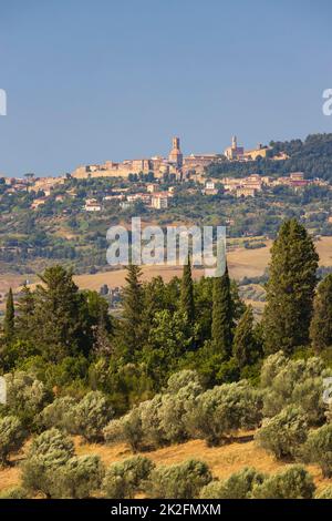 Jardin d'oliviers et Volterra en Toscane, Italie Banque D'Images