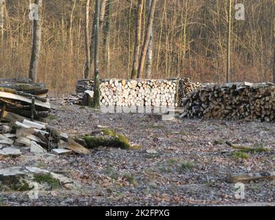 logs of wood trees cut industry firewood deforestation Stock Photo