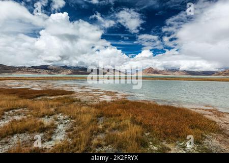 TSO Kar - lac de sel fluctuant dans l'Himalaya Banque D'Images