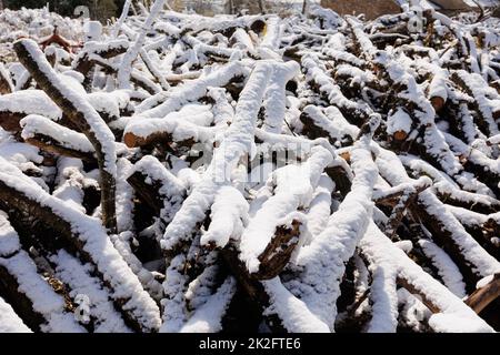 Grande cheminée de bois de chauffage en hiver couverte de neige Banque D'Images