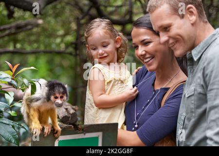 Ils ont finalement compris la théorie de l'évolution... Photo d'une jeune famille heureuse passant la journée dans un sanctuaire de singes. Banque D'Images