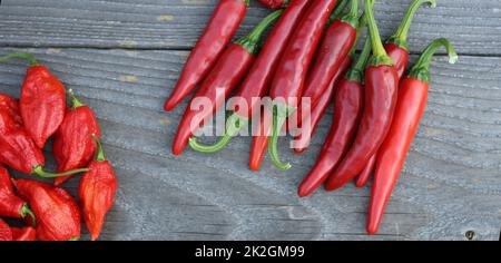 Peppers frais en plein air sur le marché agricole rural, Jalapeno, Cayenne et Bhut Jolokia Banque D'Images