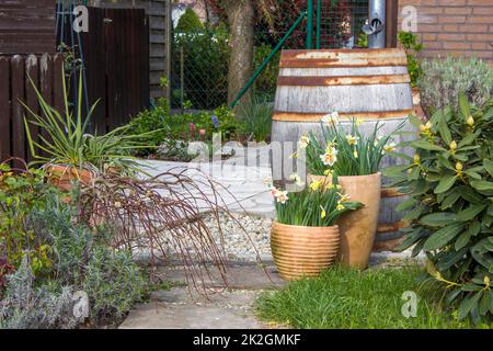 rustic garden -  blooming spring flowers Stock Photo