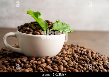 Grain de café moyen rôti dans une tasse avec une feuille le matin frais. Banque D'Images