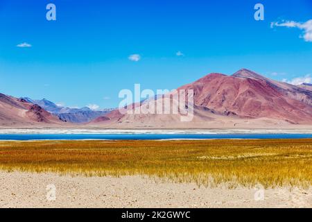 Le lac Tso Kar en sel de l'Himalaya, Ladakh Banque D'Images