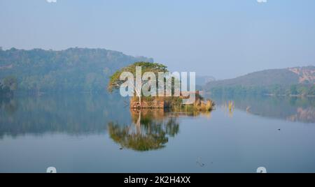 Matin serein sur le lac Padma Talao in. Parc national de Ranthambore, Rajasthan, Inde Banque D'Images