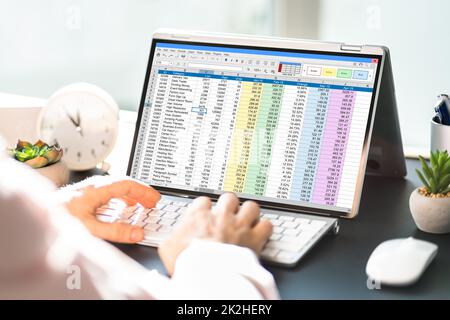 Analyste de feuille de calcul électronique ou auditeur utilisant le logiciel Banque D'Images