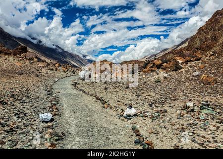 Sentier à pied vers le lac sacré Lohat TSO dans l'Himalaya. Vallée de Nubra, Ladakh, Inde Banque D'Images