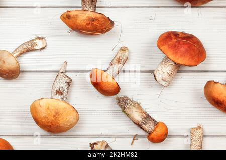 Vue sur table - champignons des bois fraîchement récolté, Red-capped scaber le Leccinum aurantiacum (manette / albostipitatum), sur les planches de bois blanc. Banque D'Images