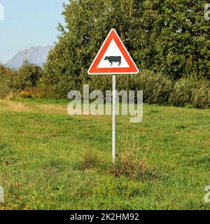 Triangle rouge vaches avertissement Panneau de passage à niveau, sur une verte prairie, arbres en arrière-plan. Banque D'Images