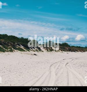 Dunes, surcultivées avec de l'herbe dans les endroits, pistes de voiture sur le sable. Ciel bleu avec nuages Banque D'Images