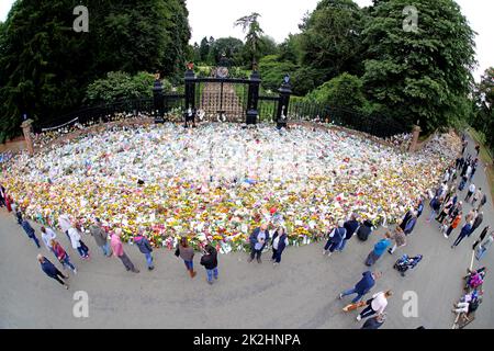 Sandringham, Royaume-Uni. 20th septembre 2022. Une mer d'hommages floraux a quitté les portes de Norwich, car elles s'étendent maintenant à environ 50 mètres après les portes de Sandringham, Norfolk, Royaume-Uni, sur 20 septembre 2022. Le pays a terminé son deuil officiel de la reine Elizabeth II, qui a été remplacée par le roi Charles III La reine Elizabeth II est décédée sur 8 septembre 2022, alors qu'elle séjournait au château de Balmoral en Écosse. Crédit : Paul Marriott/Alay Live News Banque D'Images