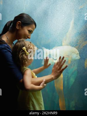 Voyez, c'est un poisson sympathique.Photo d'une mère et d'une fille sur une sortie à l'aquarium. Banque D'Images