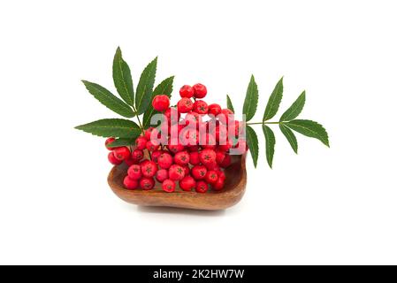 Rowan Berry sur une assiette en bois sur un blanc Banque D'Images