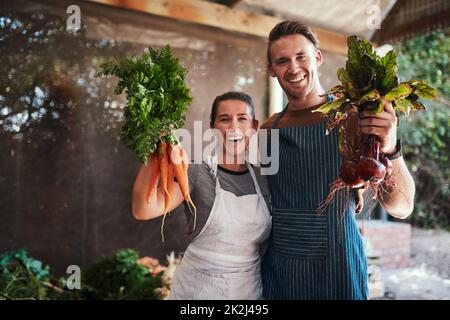 Choisissez votre favori. Portrait d'un jeune couple heureux qui se pose ensemble tenant des grappes de carottes fraîchement cueillies et de betteraves à leur ferme. Banque D'Images