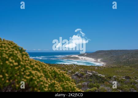 Zone côtière près de Cape Twon - Western Cape. Zone côtière proche du Cap, Afrique du Sud. Banque D'Images