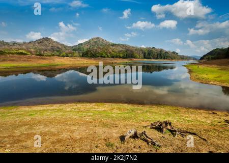 Sanctuaire de la faune et de la flore de Periyar, Inde Banque D'Images