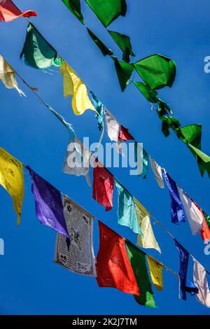 Drapeaux bouddhistes de prière lunga à McLeod Ganj, Himachal Pradesh, Inde Banque D'Images