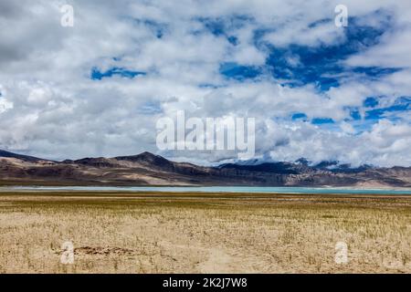 TSO Kar - lac de sel fluctuant dans l'Himalaya Banque D'Images