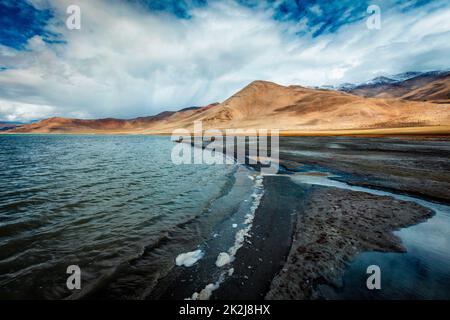 TSO Kar - lac de sel fluctuant dans l'Himalaya Banque D'Images