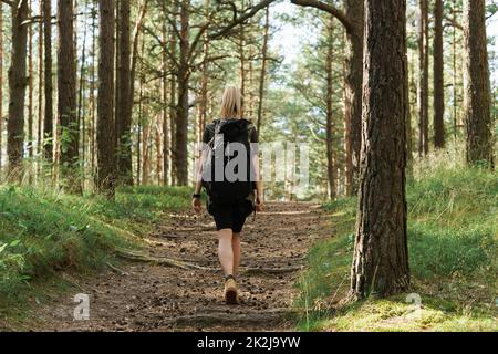 Randonneur féminin avec grand sac à dos dans la forêt verte Banque D'Images