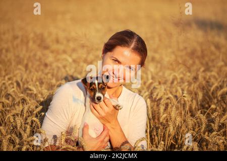 Young woman holding Jack Russell Terrier puppy sur sa main, le soleil l'après-midi allumé champ de blé derrière. Banque D'Images