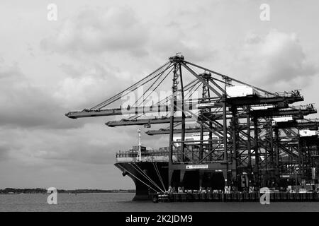 Felixstowe, Suffolk, Royaume-Uni - 22 septembre 2022 : MONO - grues travaillant sur le Evergreen Ever Grade. Banque D'Images