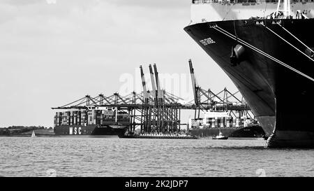 Felixstowe, Suffolk, Royaume-Uni - 22 septembre 2022 : MONO - Evergreen Ever Grade in dock. MSC Allegra en arrière-plan. Banque D'Images