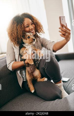 Souriez pour l'appareil photo mon plus beau. Prise de vue d'une jeune femme gaie prenant un selfie avec son petit chiot tout en étant assis sur un canapé à la maison. Banque D'Images