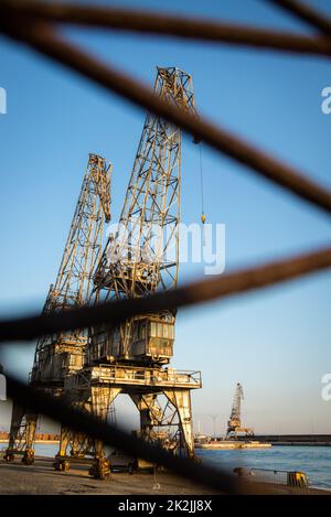 Grues dans le port du navire comme silhouettes, à Rijeka en Croatie Banque D'Images